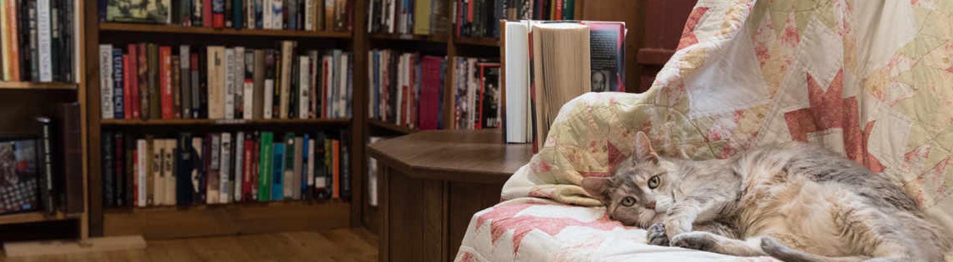 Inside of the book shoppe 2